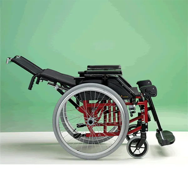 Evolution Standard